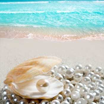Caribbean pearl inside clam shell over white sand beach in a tropical turquoise sea