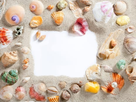 border summer shells frame composition over beach sand beach with blank paper