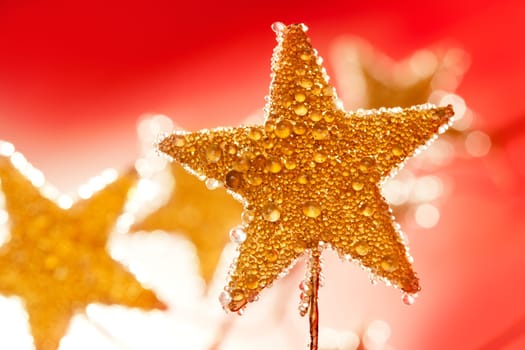 christmas golden drops star in red background