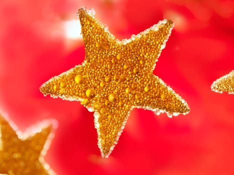 christmas golden drops star in red background