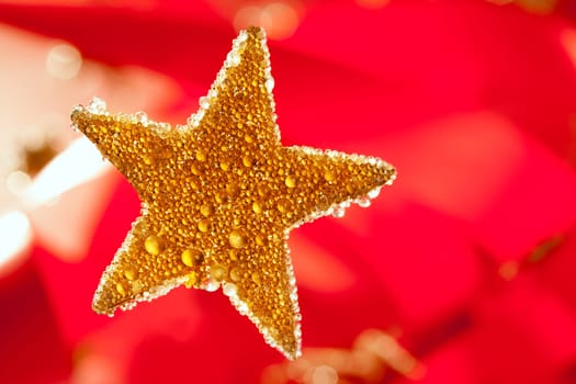 christmas golden drops star in red background
