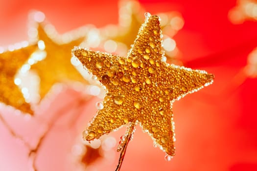 christmas golden drops star in red background
