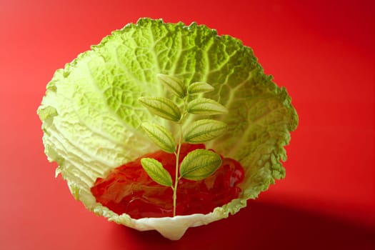 Abstract metaphor of green outbreak growing in cabbage leaf on red jelly