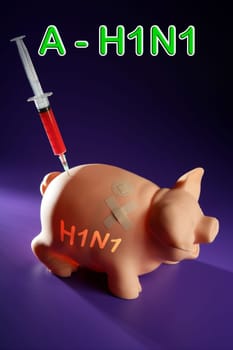 Pig  influenza flu Injection, A h1n1 vaccine metaphor