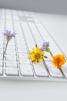 Concept of flowers growing from computer, ecology metaphor