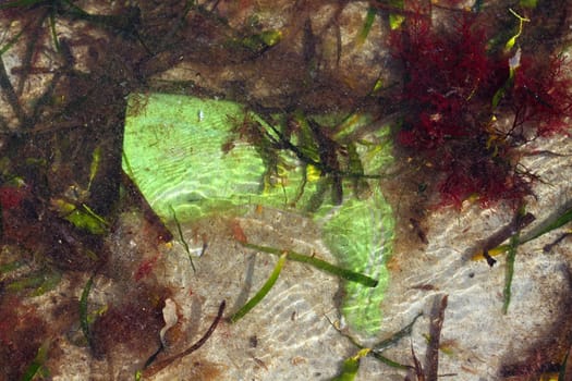 old green boot trash sea garbage ocean dirty pollution