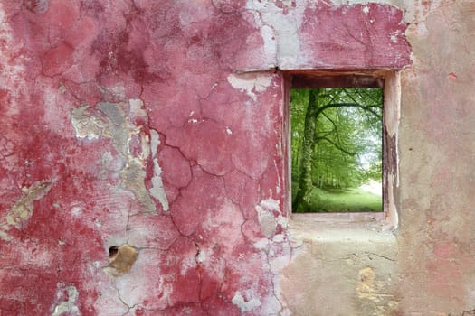 aged weathered pink grunge wall wood window view beech forest