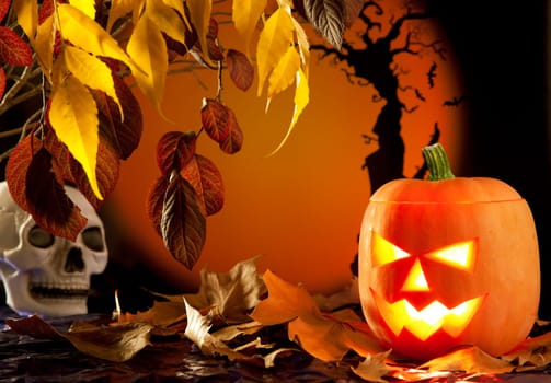 Halloween orange pumpkin lantern with autumn leaves
