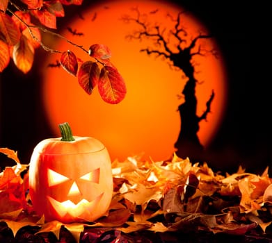 Halloween orange pumpkin lantern with autumn leaves