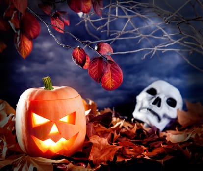halloween lantern pumpkin  in dark sky clouds moonlight