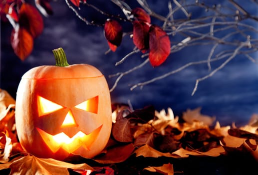 halloween lantern pumpkin  in dark sky clouds moonlight