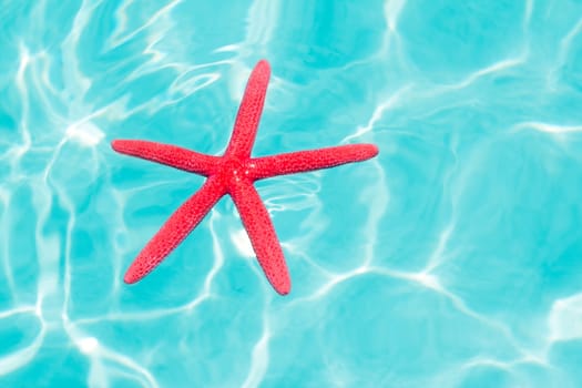 Red starfish floating on perfect tropical sea in ripple beach