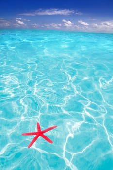 Starfish as summer vacation symbol in tropical beach with turquoise water
