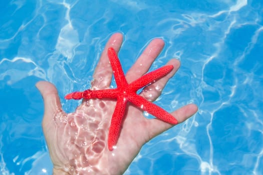 Red starfish in human hand floating in turquoise tropical beach