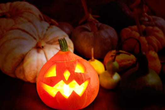 Halloween pumpkin Jack o lantern candle glowing with varied species