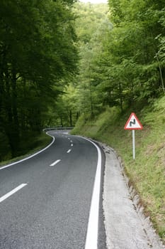 Asphalt winding curve road in a beech green forest