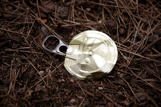 Top of a can over a forest floor. Enviromental issue