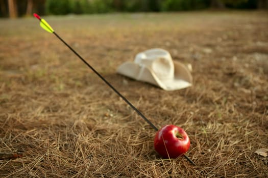 William tell metaphor with red apple and arrow in the forest