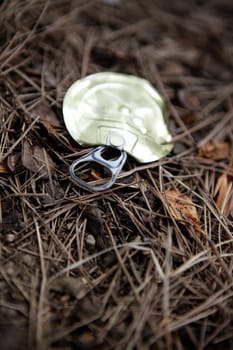 Top of a can over a forest floor. Enviromental issue