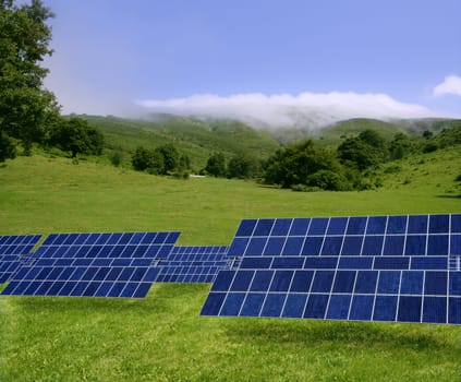 Clean electric energy solar plates generators in a green meadow