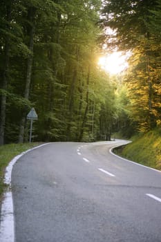 Asphalt winding curve road in a beech green forest