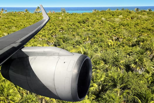 airplane wing aircraft turbine flying over palm trre mangrove jungle
