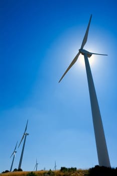 aerogenerator windmills in a row in blue sky day