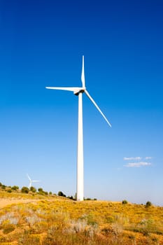 aerogenerator windmill in golden hill blue sky day