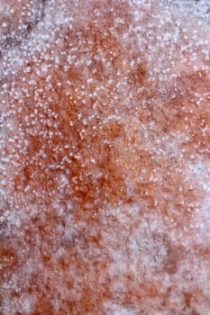 Ses Salines Formentera saltworks salt texture red color