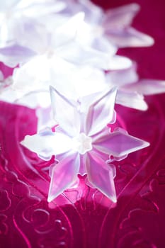 Christmas star, xmas, red, celebration macro detail