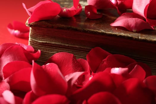 Rose petals over old aged book, romantic love metaphor