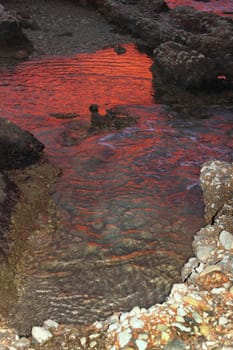 deep red sunset water reflexion on puddle sea shore