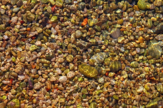 colorful rolling stones sea bottom pattern musk seaweed