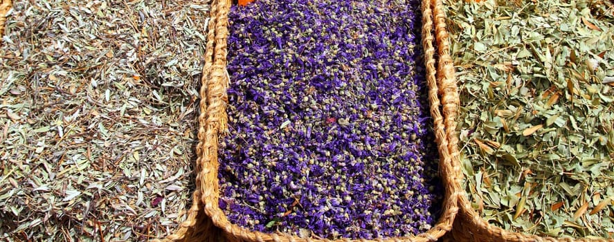 herbal natural medicine market plants leaves traditional medicine