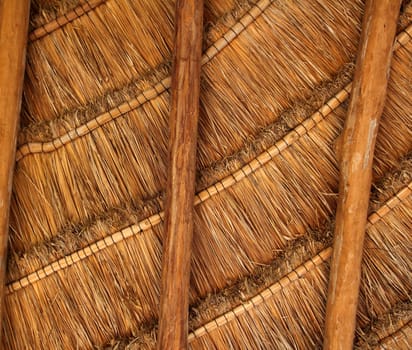 palapa tropical Mexico wood cabin roof detail indoor