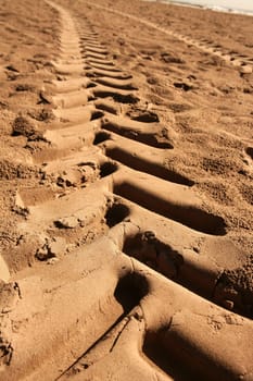 industrial tractor footprint on beach golden sand