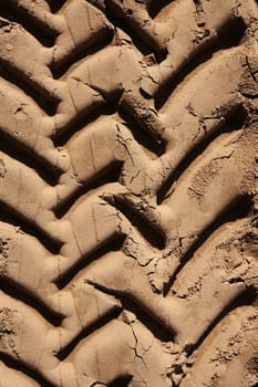 industrial tractor footprint on beach golden sand