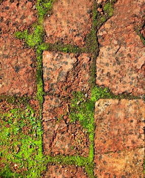 clay bricks soil red pavement traditional in Spain