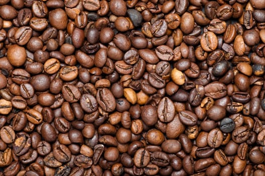 Close-up of coffee beans with space for your text