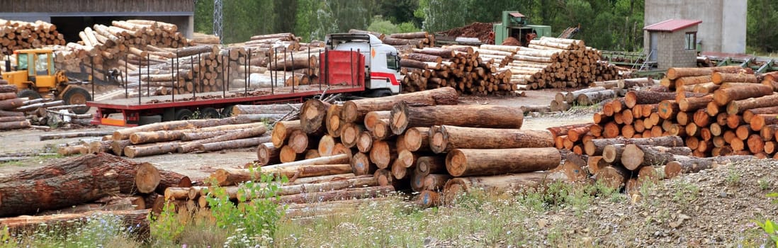 log timber trunks wooden industry stock outdoor sawmill