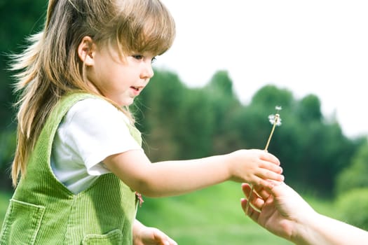 Profile of cute girl taking white dandelion from her parents hand on background of green trees