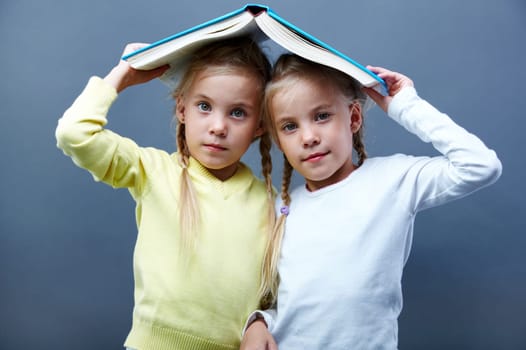 Portrait of lovely twin girls holding open book over heads
