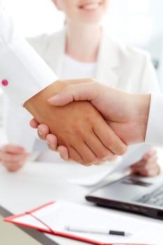 Image of handshaking of business partners with female on background
