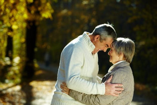 Photo of senior couple in the park in autumn