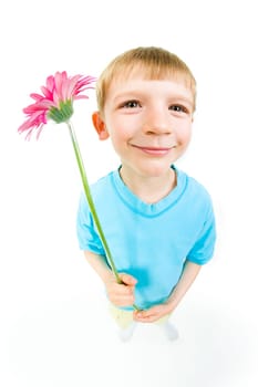 View from above of a boy holding pink flower in hands and smiling