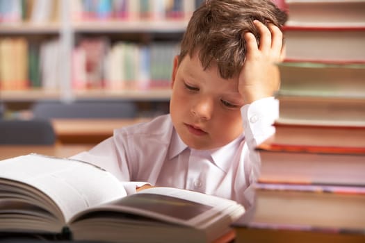 Image of interested schoolkid reading book in the library