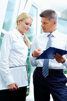 Vertical image of smart employees discussing new strategy