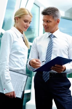 Two smart employees discussing new strategy at meeting