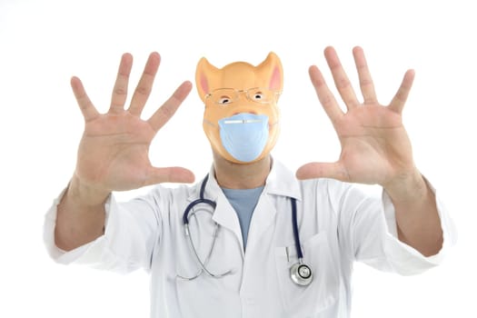 Doctor with pig mask as a swine flu metaphor, isolated on white