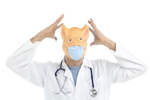 Doctor with pig mask as a swine flu metaphor, isolated on white